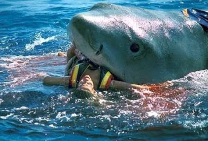 totally-fake-shark-attack-jaws