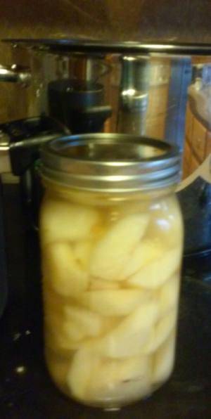 jar of pears