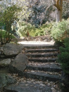 steps