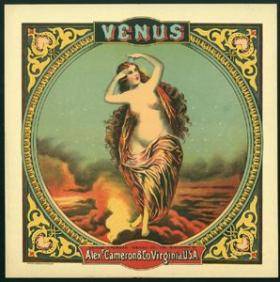 Venus square