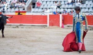 bullfight