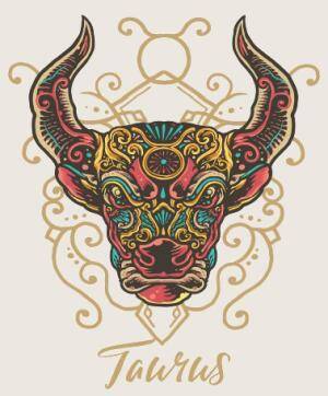 Taurus mulitcolored bull
