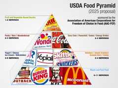 food pyramid